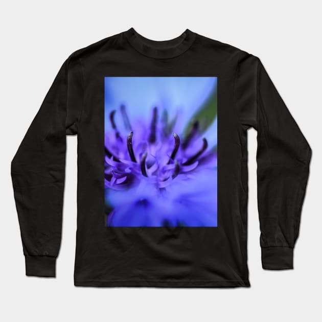 Cornflower Long Sleeve T-Shirt by Bobbex